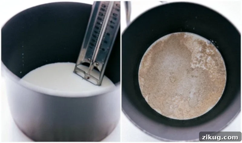 Warm milk and proofing yeast for perfect cinnamon rolls. Process shot showing warm milk in a pot with yeast and sugar sprinkled on top, beginning to foam, for Homemade Cinnamon Rolls.