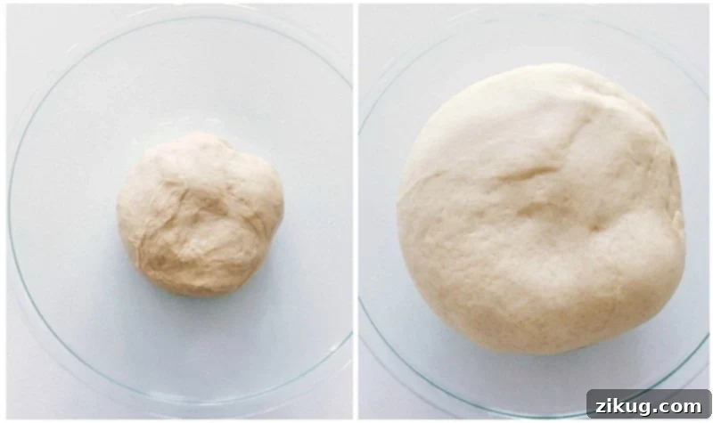 Dough rising in a bowl until doubled. Process shot of the cinnamon roll dough ball resting in a greased bowl, covered, during its first rise.