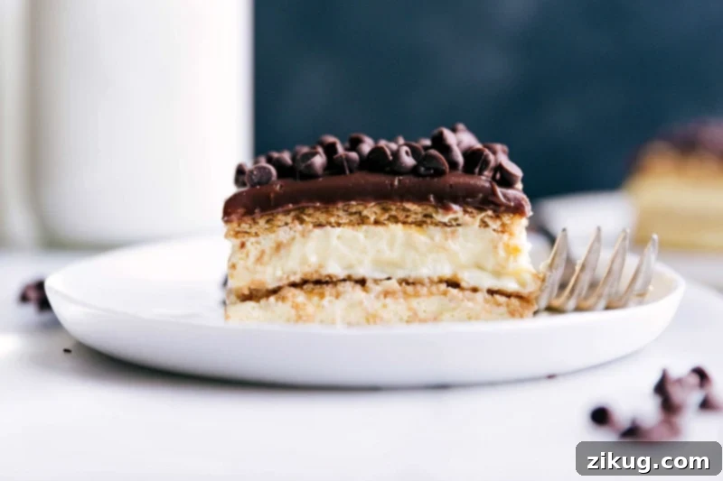 A delicious and gorgeous slice of chocolate eclair cake ready to be enjoyed.