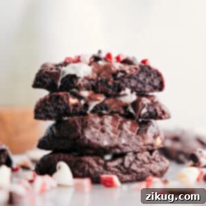 An appetizing close-up of a freshly baked Chocolate Peppermint Cookie, showcasing its rich texture and delicious chocolate and peppermint pieces.