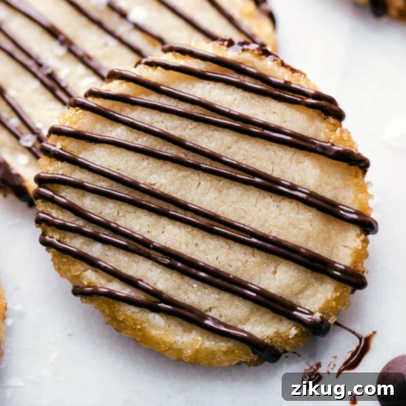 Irresistible Shortbread Cookies with Tempting Chocolate Drizzle Shortbread cookies adorned with a luscious chocolate drizzle.