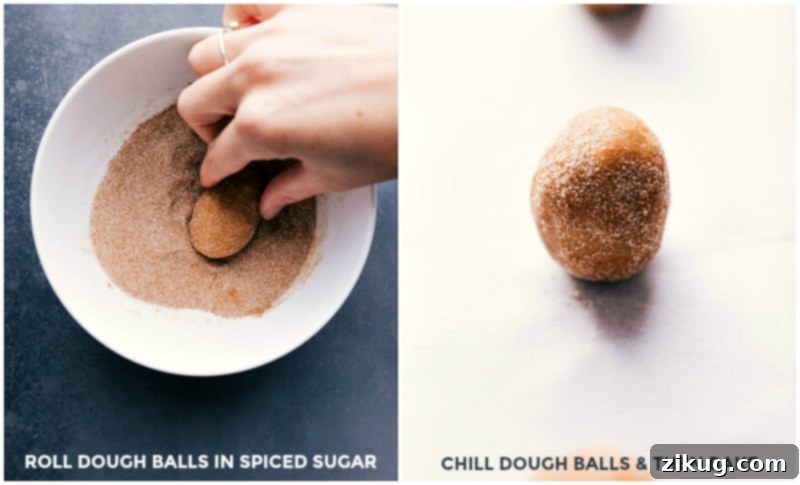 Perfectly shaped dough balls of pumpkin cinnamon roll cookies being gently rolled in a spiced cinnamon sugar mixture, arranged neatly on a parchment-lined baking pan, ready for chilling and baking.