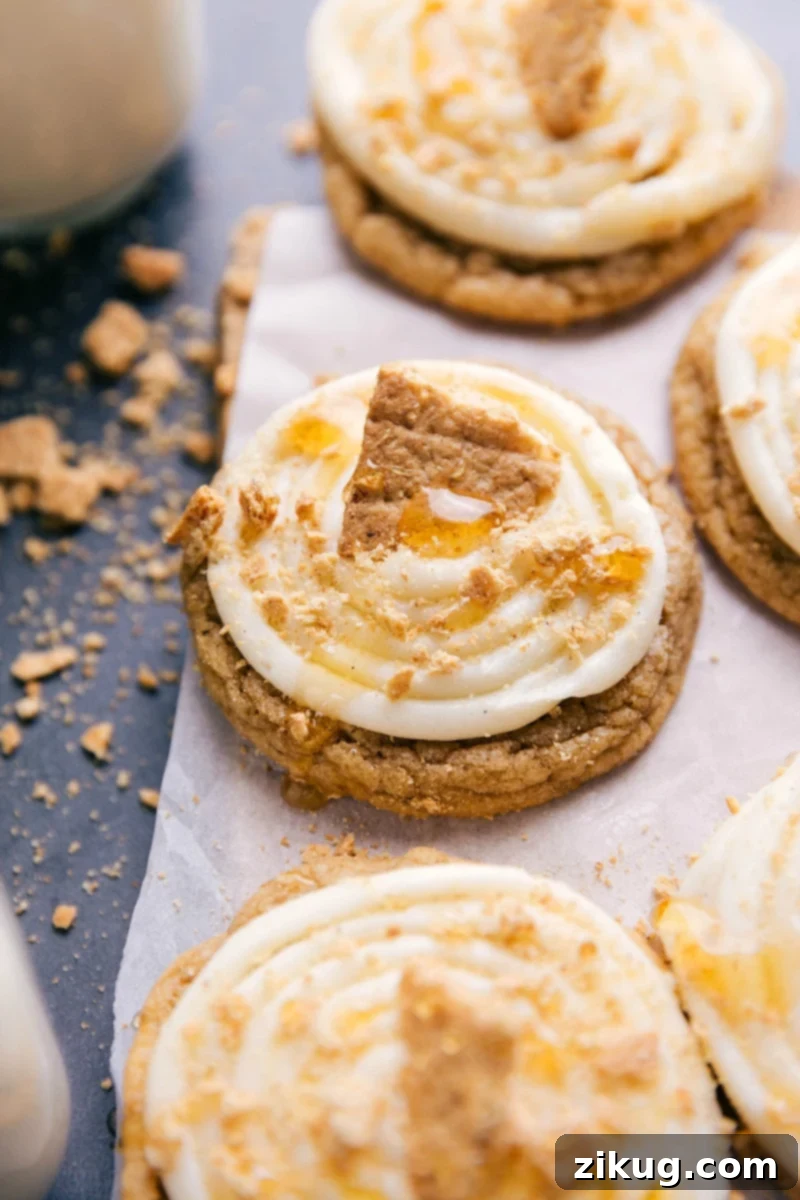 Frosted honey graham cookies topped with creamy frosting, garnished with graham cracker crumbs, a drizzle of honey, and a large graham cracker piece.