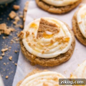 Frosted honey graham cookies topped with creamy frosting, garnished with graham cracker crumbs, a drizzle of honey, and a large graham cracker piece.