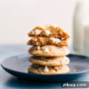 Honey Graham Cookie Delights 2 Freshly baked Graham Cracker Cookies, soft and chewy with white chocolate chips