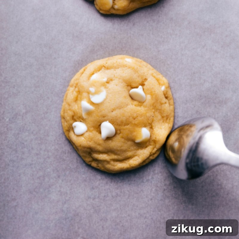 Freshly Baked Cornmeal Cookies A freshly baked cornmeal cookie, rounded by using the back of a spoon while still warm, ready to be enjoyed as a delicious treat.