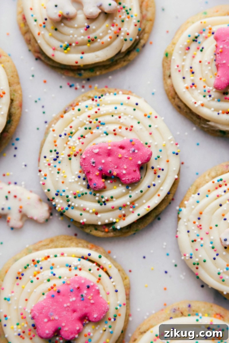 Beautifully decorated and utterly delicious animal circus cookies, generously frosted with cream cheese frosting and adorned with colorful sprinkles.