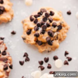 Simple No Bake Avalanche Cookies 2 A close-up of a finished Avalanche Cookie, showing its crunchy texture and chocolate chips.