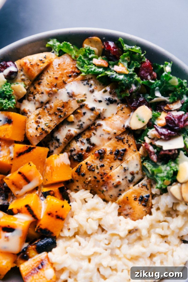 Up-close overhead image of the Harvest Bowl with dressing generously drizzled over the chicken, squash, rice, and kale salad.