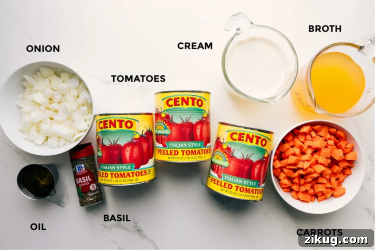 Essential Ingredients For Easy Tomato Soup Recipe A vibrant display of all fresh ingredients for this easy tomato soup recipe, including ripe tomatoes, onions, basil, carrots, olive oil, broth, and cream, beautifully prepped for cooking.