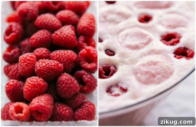 Up-close shot of berries for optional garnish on Sherbet Punch, emphasizing freshness.