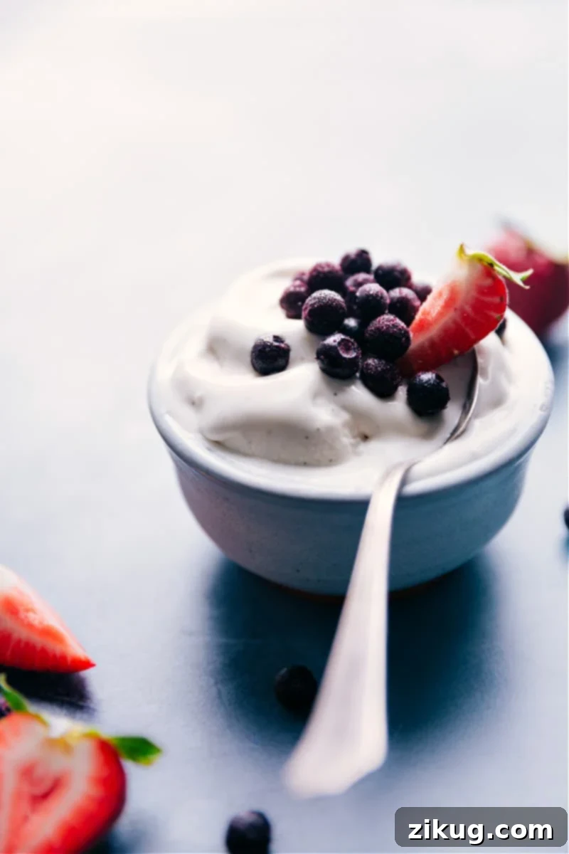 Delicious bowl of vanilla frozen yogurt with various toppings. Bowl of creamy vanilla frozen yogurt with colorful toppings