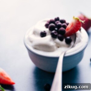 Pure Vanilla Fro-Yo 2 Delicious bowl of vanilla frozen yogurt with toppings.