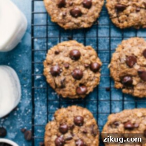 Guilt-Free Oatmeal Chocolate Chip Cookies 2 Healthy Oatmeal Chocolate Chip Cookies
