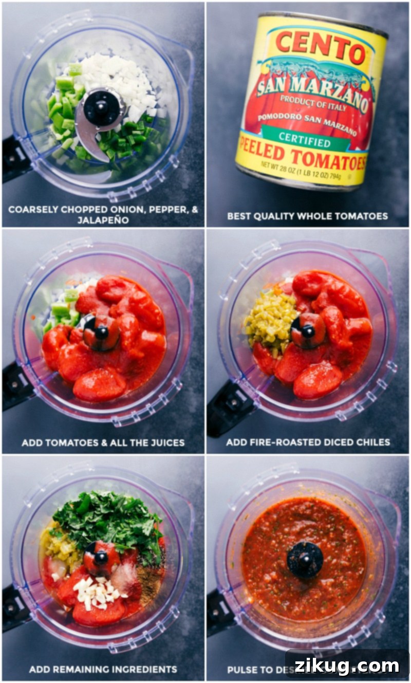 All the fresh ingredients like onions, peppers, and cilantro, alongside canned tomatoes and chiles, being added to a food processor, ready to be pulsed and blended into a perfect salsa consistency.