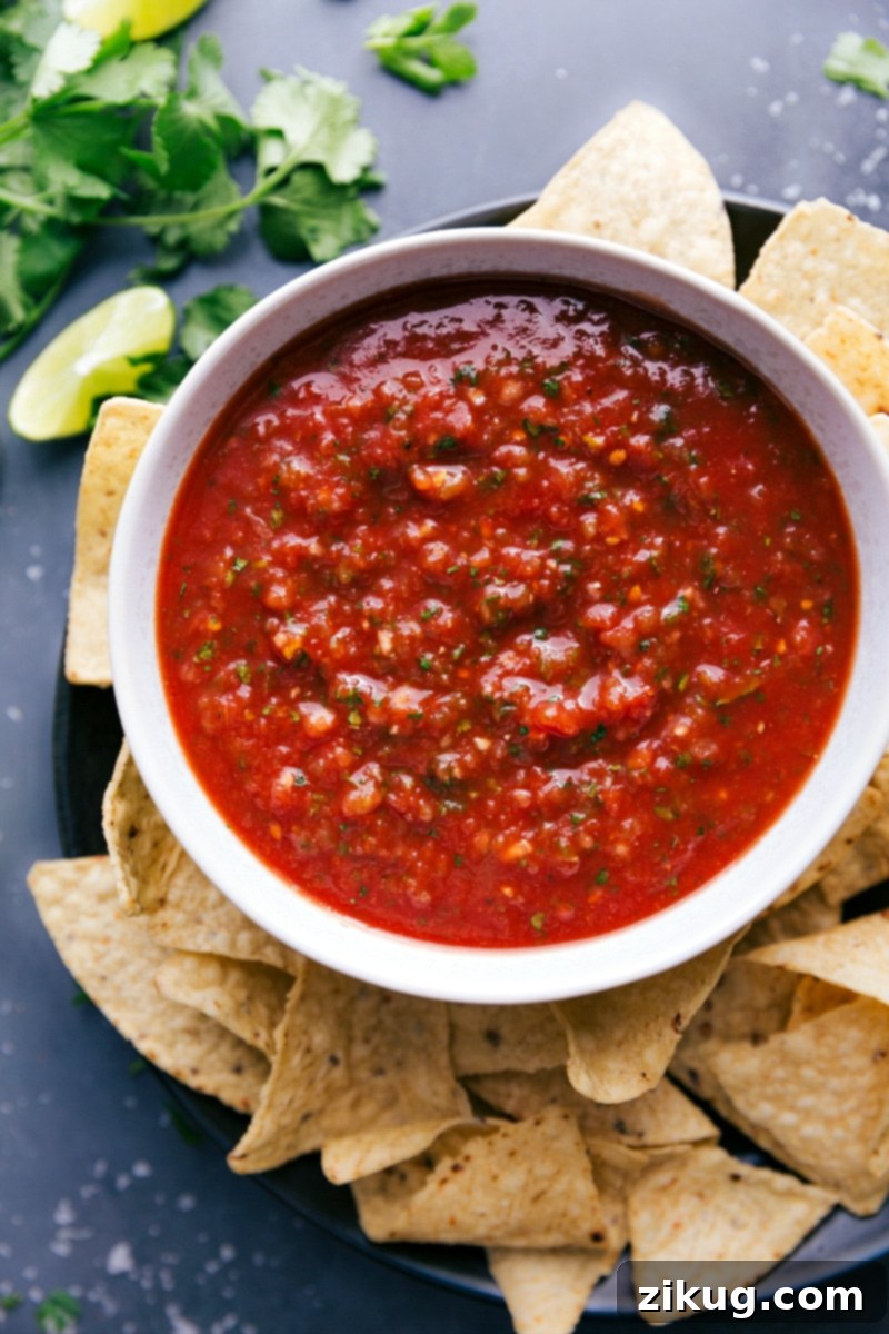 The perfectly blended, vibrant homemade salsa resting in a rustic bowl, adorned with a sprig of fresh cilantro, ready to be enjoyed with a side of crispy tortilla chips. The texture is inviting, and the colors are rich.