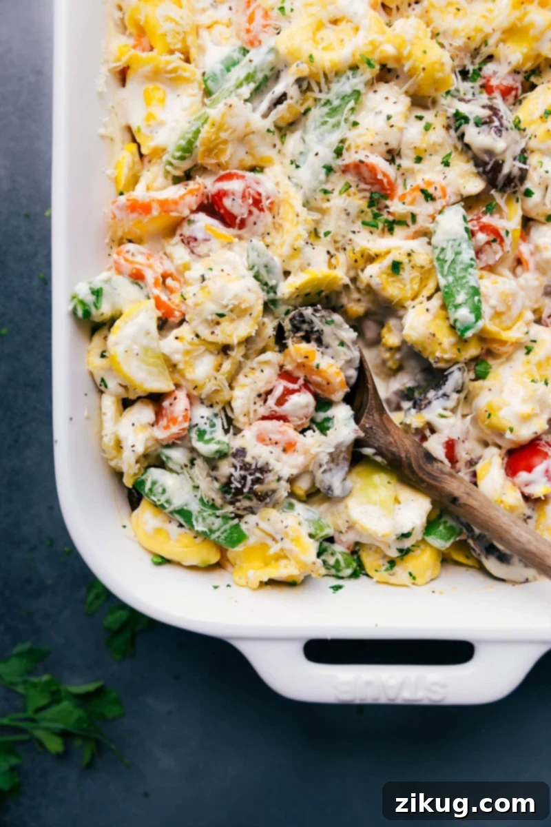 Delicious and Cheesy Tortellini Casserole - Bursting with Flavor The finished tortellini casserole, delicious and cheesy, bursting with color and flavor. Golden-brown cheese topping with fresh herbs.