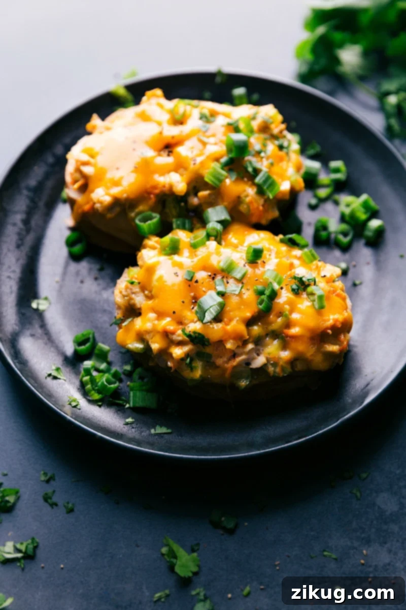 Easy Cheesy Chicken Melts Golden brown Chicken Melts, fresh out of the oven, topped with melted cheese and fresh herbs.