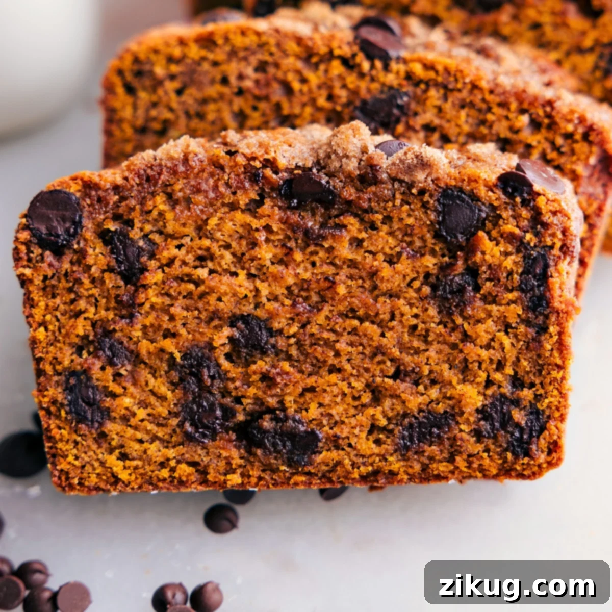 Delicious and Moist Pumpkin Bread Slice with Chocolate Chips Delicious moist pumpkin bread, with chocolate chips throughout.