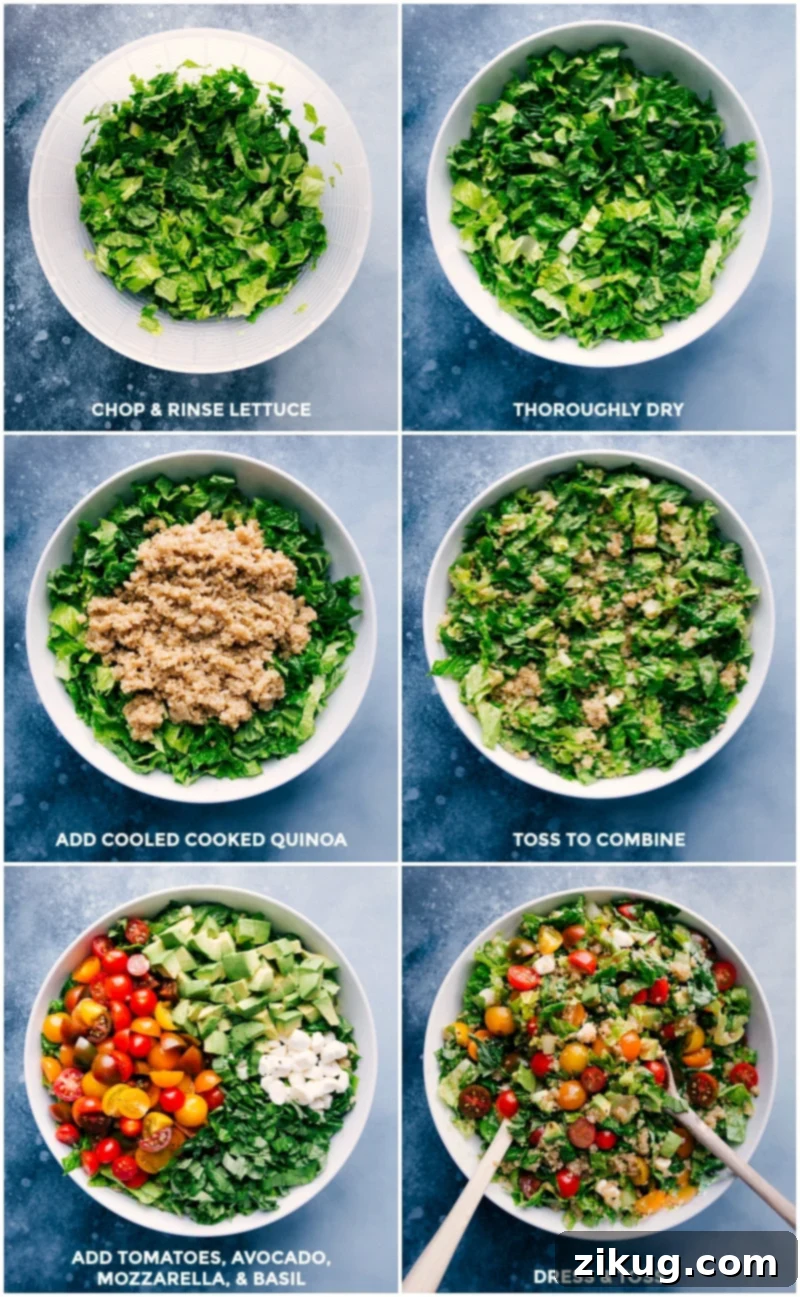 Follow these simple steps to prepare your Caprese Quinoa Salad. From prepping fresh produce to mixing with seasoned quinoa and a delightful balsamic dressing, every stage contributes to a healthy and flavorful meal. Detailed process shots: preparing lettuce, combining with cooled quinoa, adding fresh ingredients, and tossing with homemade balsamic vinaigrette to create a Caprese Quinoa Salad.