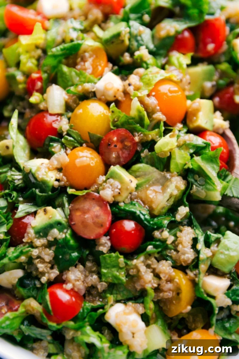 The finished Caprese Quinoa Salad, showcasing its beautiful colors and textures, perfectly dressed with a simple balsamic vinaigrette. A testament to healthy, delicious, and easy home cooking. A close-up view of the vibrant and freshly prepared Caprese Quinoa Salad, perfectly mixed and ready to enjoy.
