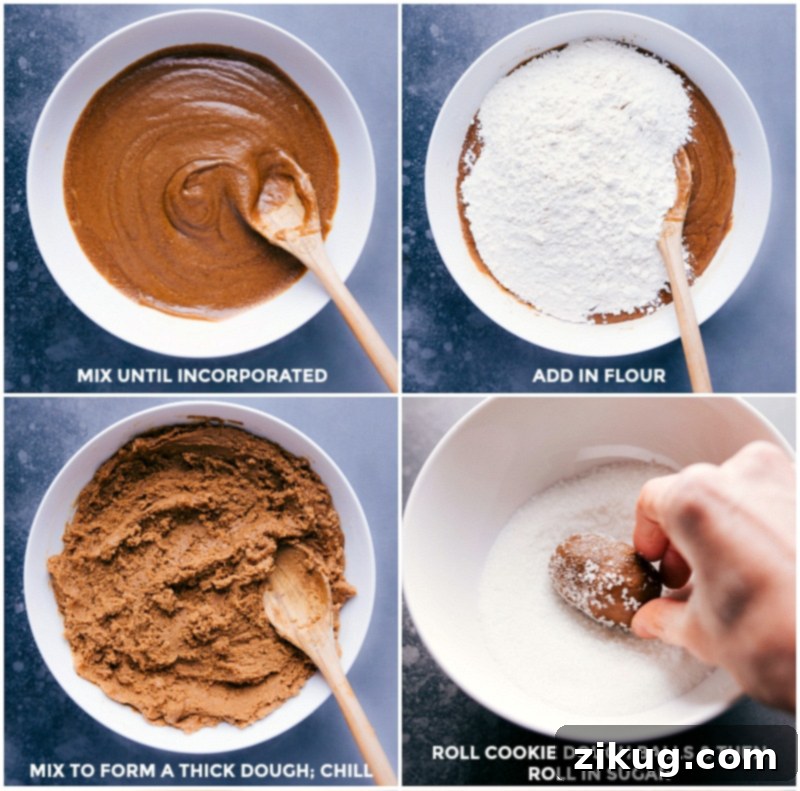 Sequential process shots demonstrating the creation of Gingersnaps: mixing ingredients into a thick dough, chilling the dough, and rolling dough balls in sugar for a perfect coating.