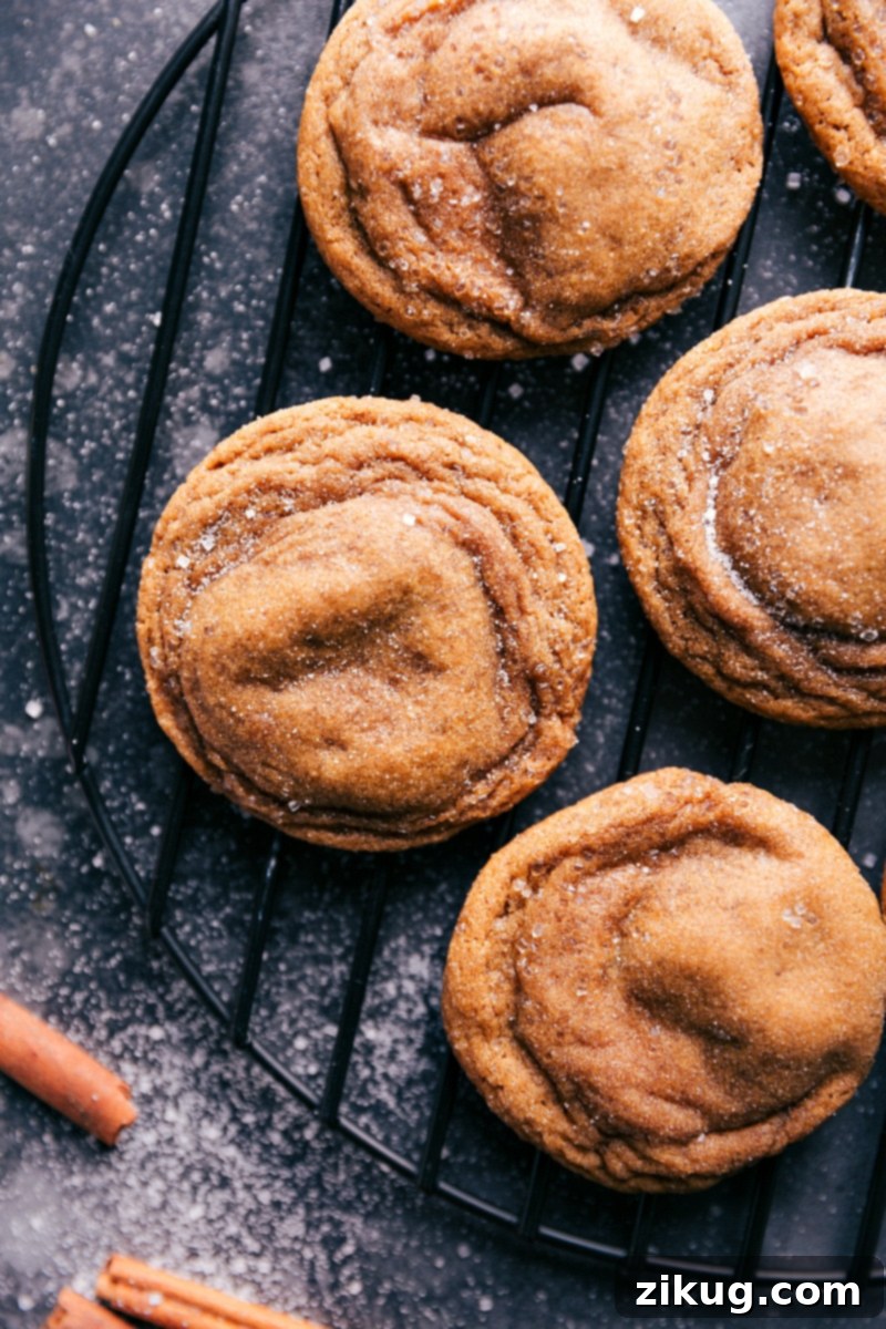 Image displaying the beautifully baked Gingersnap Cookies arranged neatly on a cooling rack.