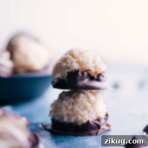 Irresistible Coconut Macaroons 3 A close-up of a finished Coconut Macaroon, golden brown and perfectly textured.