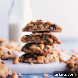 A perfectly baked Oatmeal Scotchie cookie, showcasing its golden color, chewy texture, and visible butterscotch chips. Ready to be enjoyed.