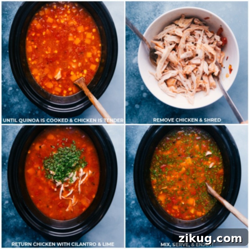The final steps of making Slow Cooker Butternut Squash Chili: shredding the tender chicken and adding fresh cilantro and lime for a vibrant finish. Recipe via ChelseasMessyApron. Process shots showing cooked chicken being removed from the slow cooker, shredded, and then returned with fresh cilantro and lime wedges.