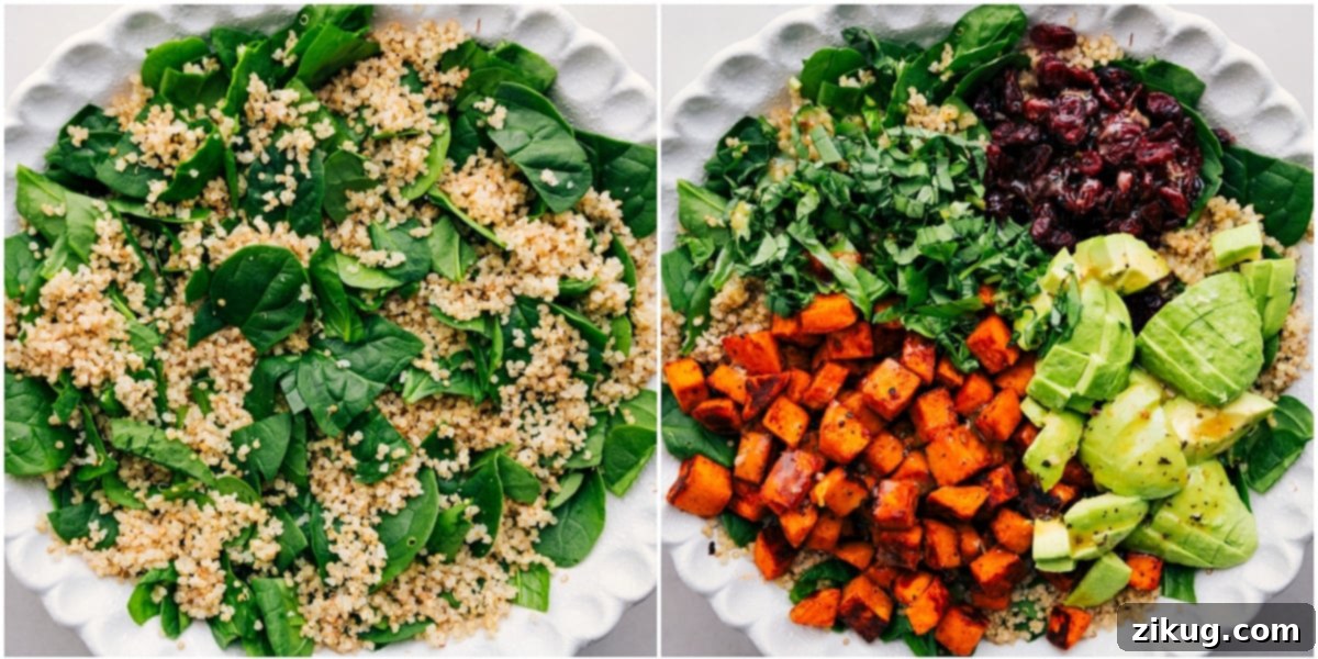 Easy Assembly Guide: Sweet Potato Quinoa Salad A clear visual guide showing the assembly of Sweet Potato Quinoa Salad: starting with a large bowl containing fresh baby spinach and fluffy cooked quinoa, then artfully topped with golden roasted sweet potato cubes, slices of creamy avocado, a sprinkle of tart dried cranberries, and fragrant fresh basil, all awaiting the final dressing.