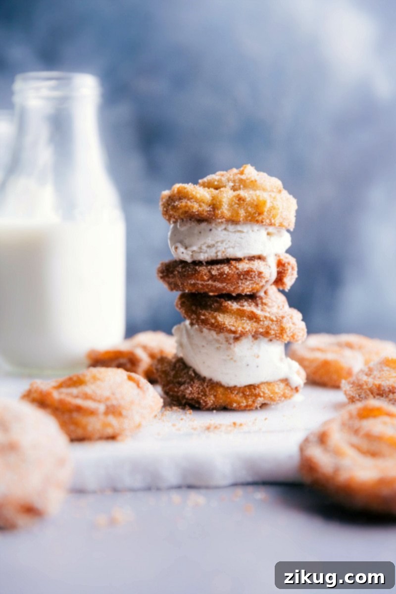 Golden Churro Ice Cream Sandwich Stack, Tempting and Ready to Eat Two stacked golden churro ice cream sandwiches ready for indulgence.