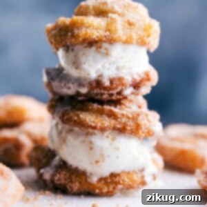 Crispy Churro Ice Cream Treats 2 Churro Ice Cream Sandwiches