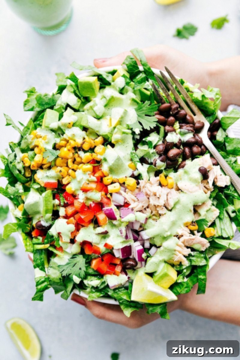 Experience the deliciousness of Cafe Rio Dressing, generously drizzled over a fresh, vibrant salad. This creamy cilantro-lime copycat recipe is a must-try for any meal! Overhead image of Cafe Rio Dressing drizzled over a salad