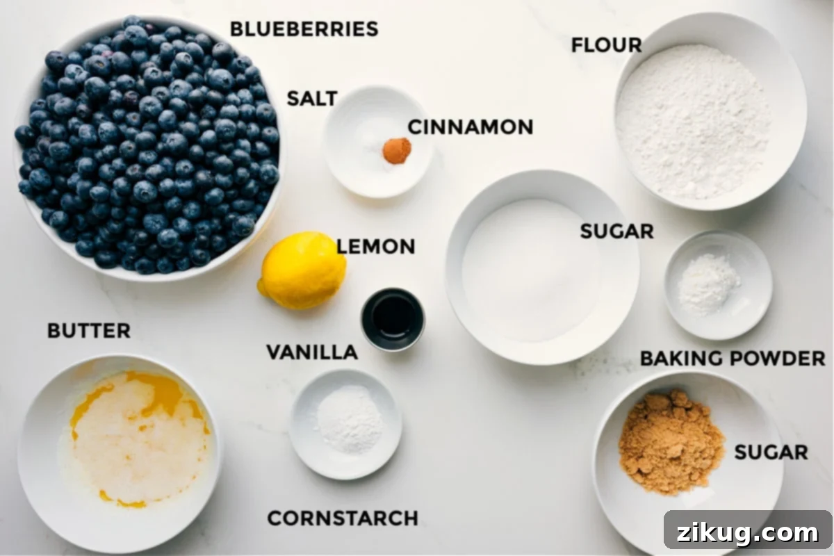 Essential Ingredients for the Best Blueberry Cobbler All fresh ingredients neatly prepped for a homemade Blueberry Cobbler: vibrant blueberries, salt, cinnamon, flour, sugar, baking powder, cornstarch, lemon, vanilla extract, and melted butter.