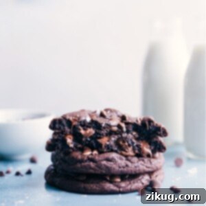 Close-up of a single Bakery Style Chocolate Cookie showcasing its chewy texture and chocolate chips