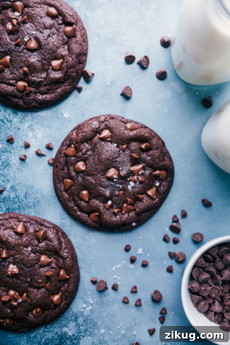 Deliciously Baked Bakery Style Chocolate Cookies Ready to Enjoy Overhead view of several perfectly baked Bakery Style Chocolate Cookies on a cooling rack, showcasing their texture