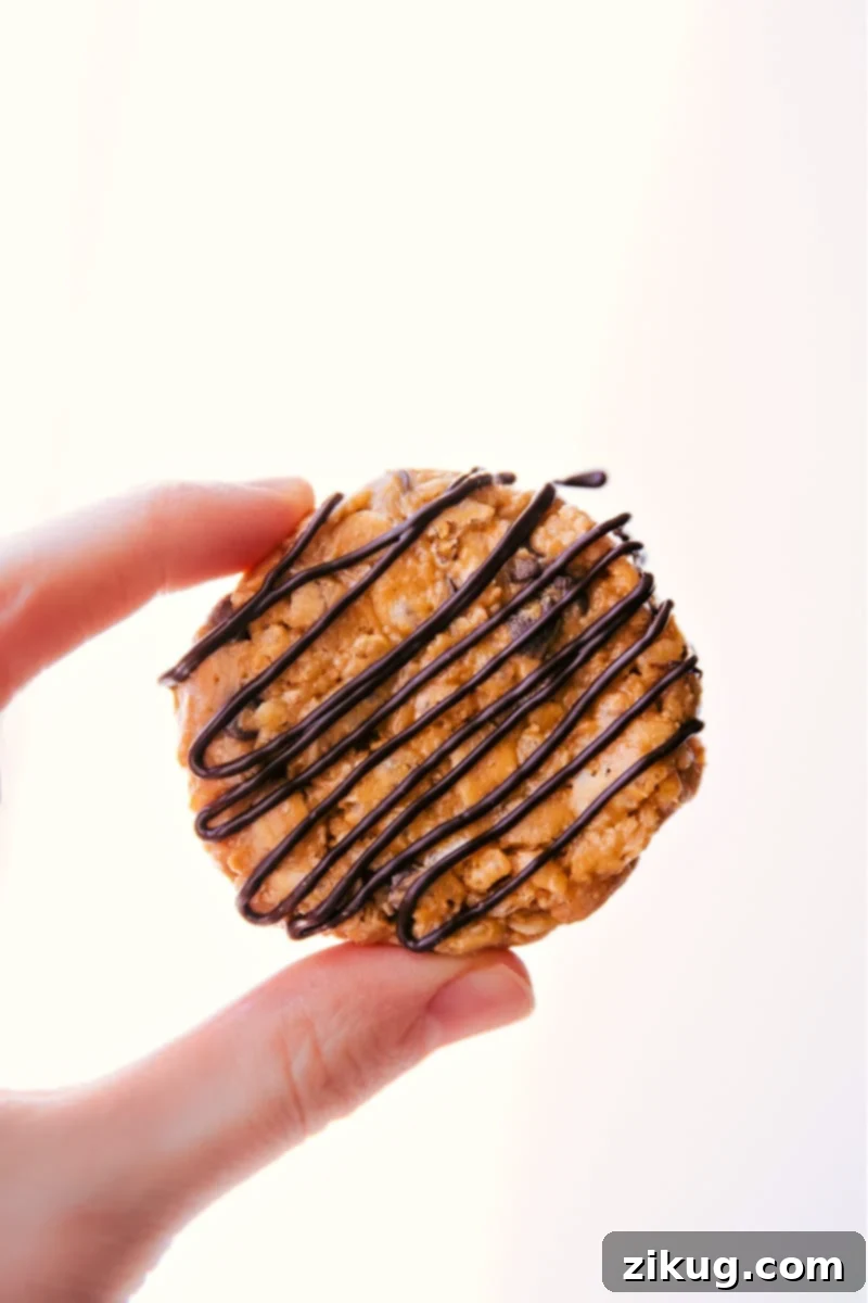 No-Bake Healthy Breakfast Cookies: Your go-to for a healthy, quick, and tasty breakfast or snack! Made with simple ingredients and featuring an optional chocolate drizzle for extra indulgence. Delicious No-Bake Healthy Breakfast Cookies arranged beautifully on a plate, ready to be enjoyed.