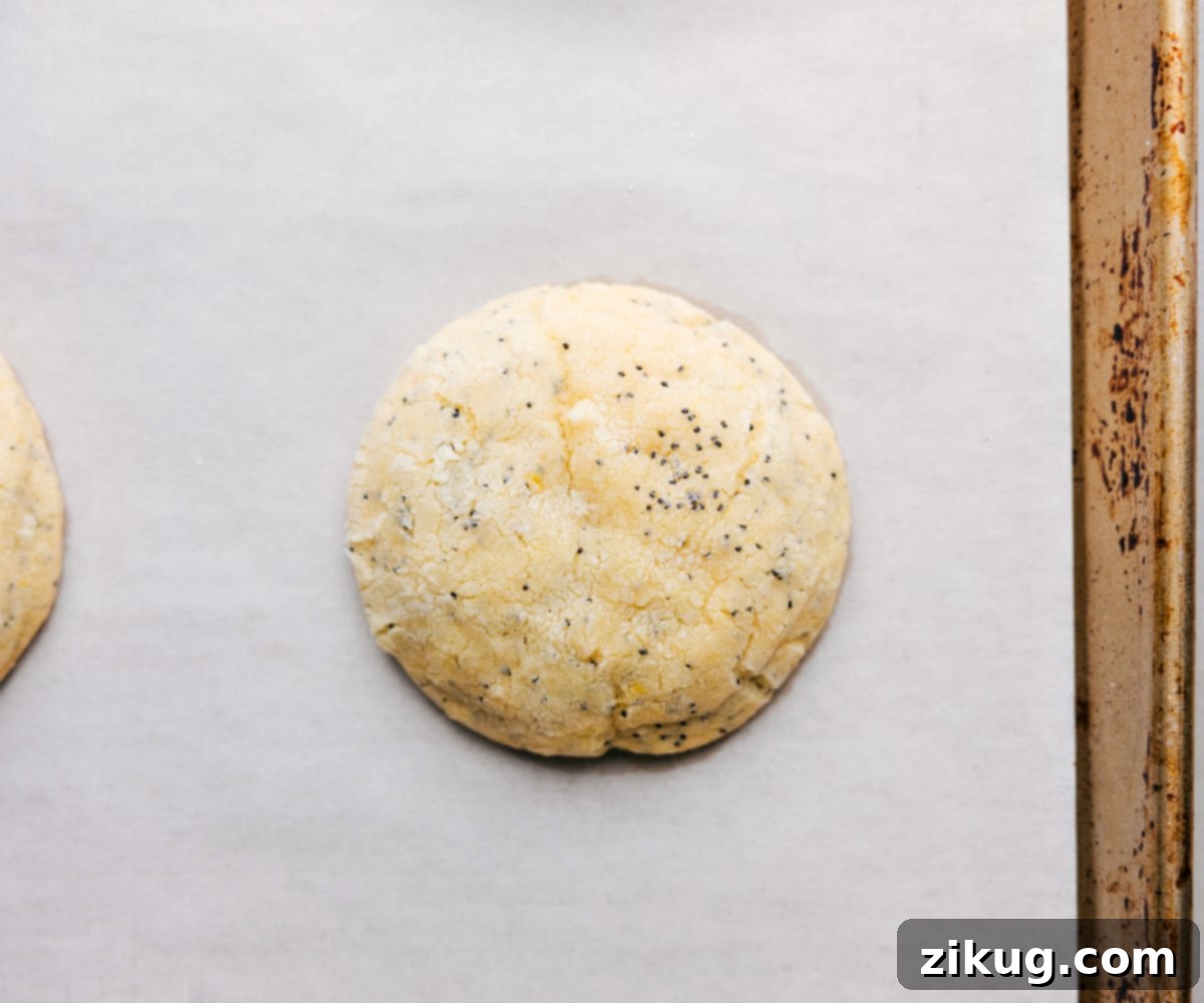 Delicious Lemon Poppy Seed Cookies Fresh from the Oven Freshly baked Lemon Poppy Seed Cookies, golden brown and perfectly puffed, cooling on a wire rack with a sweet glaze drizzle.