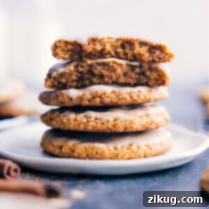 Close-up image of the delicious Pumpkin Oatmeal Cookies