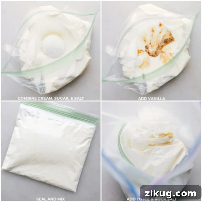 DIY Ice Cream in a Bag 4 Process images showing ingredients like cream, sugar, vanilla, and salt being added to a small resealable bag