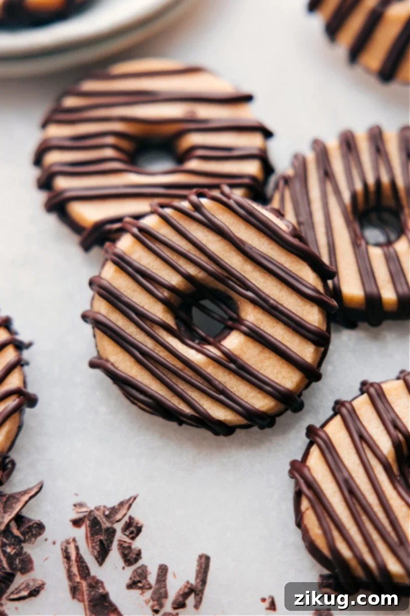 These Homemade Fudge-Striped Cookies deliver a deliciously buttery, sweet cookie coated in smooth melted chocolate. With a hint of vanilla and just the right amount of salt, they're a sweet, satisfying cookie -- near impossible to stop at just one! This is the ultimate recipe for a classic dessert, perfect for quick, easy, and simple treats. #dessert #best #quick #easy #simple #treat #chocolate #sliceandbake #fudgestriped #cookies Overhead image of the Fudge-Striped Cookies perfectly arranged, showcasing their buttery texture and smooth chocolate stripes.