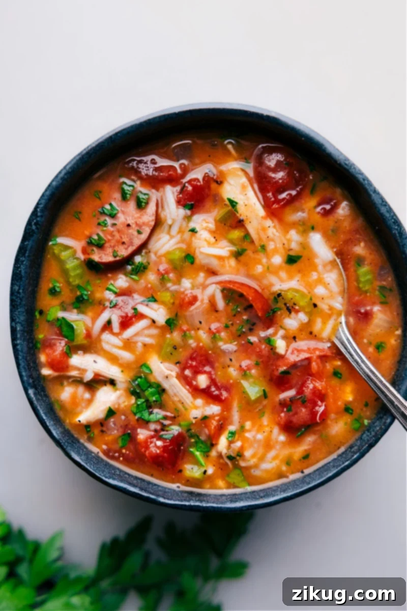 Instant Pot Chicken, Sausage, and Rice: A Hearty One-Pot Comfort Meal for Any Season Overhead image of a generous bowl of Instant Pot Chicken, Sausage, and Rice, showcasing smoky sausage, tender chicken pieces, vibrant fire-roasted tomatoes, and fluffy white rice, ready to be enjoyed.