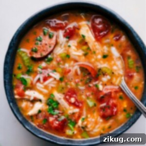 A close-up of a serving of Instant Pot Chicken, Sausage, and Rice