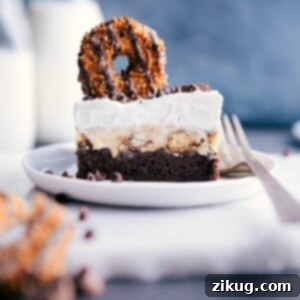 Brownie Ice Cream Sandwiches 2 A slice of brownie ice cream bar with a samoas cookie on top, ready to be enjoyed.