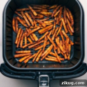 A basket of freshly cooked Air Fryer Fries, golden and perfectly crispy.