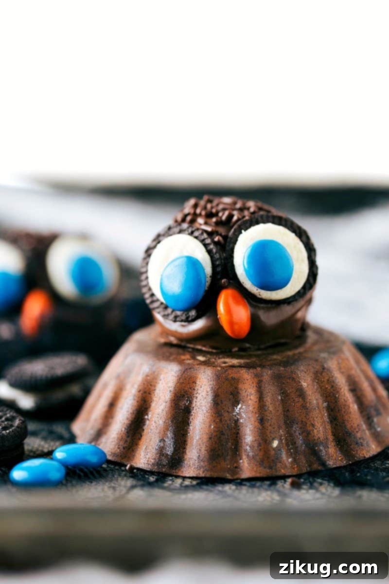 Spooktacular Oreo Truffles 10 A charming owl Oreo ball with mini Oreos for eyes, M&M's for pupils and beak, and chocolate sprinkles for feathers, an adorable and easy Halloween treat.