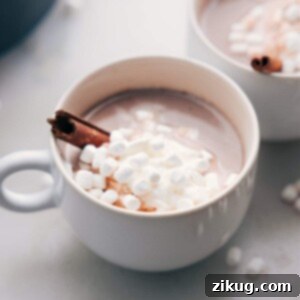 Finished steaming beverage in a mug, lavishly topped with whipped cream, marshmallows, and a cinnamon stick.