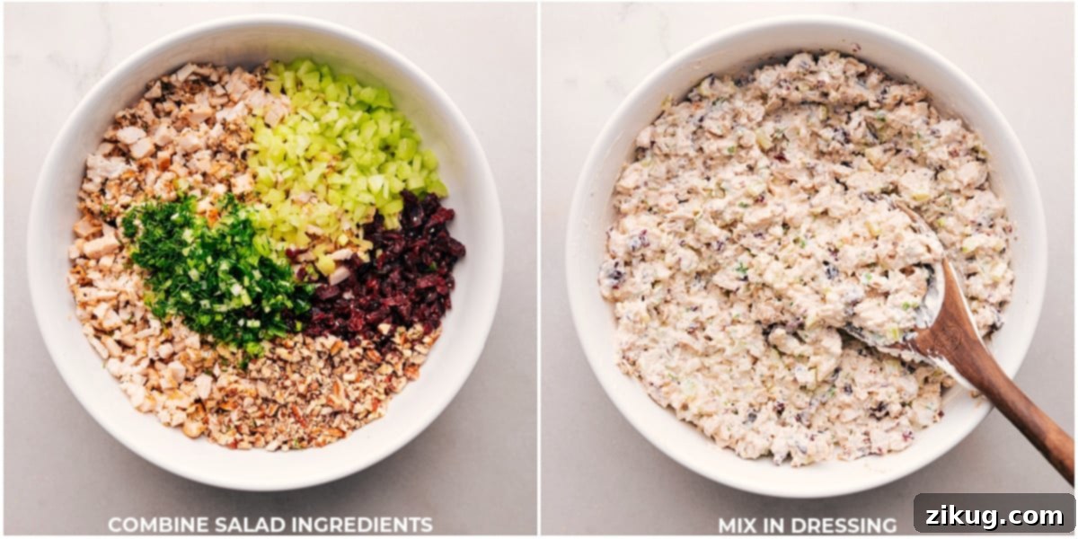 Final Mix for a Perfectly Blended Turkey Salad Thoroughly combining all the ingredients for the Turkey Salad recipe in a bowl until everything is perfectly mixed and coated.