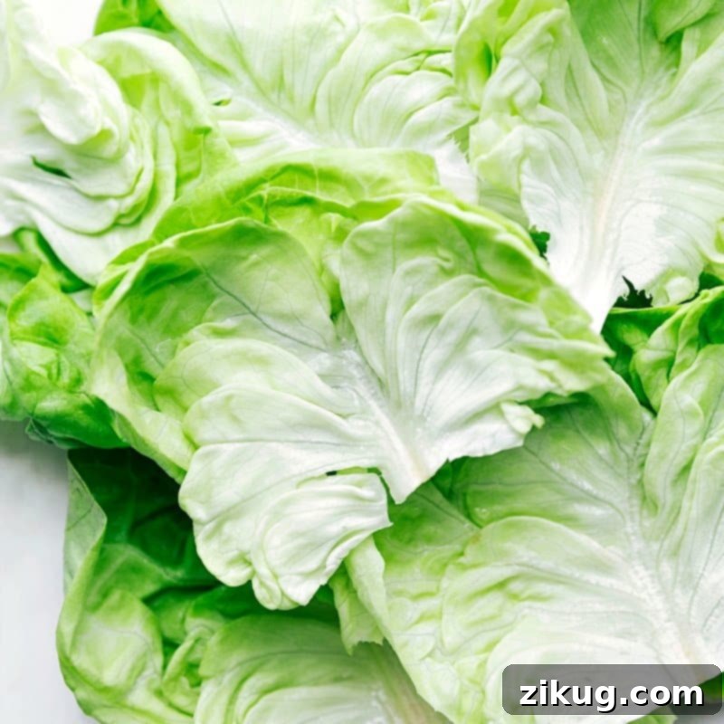 Savory Beef Lettuce Cups 2 Crisp and fresh lettuce leaves, specifically butter lettuce, perfectly cupped and ready to be filled and rolled with the flavorful ground beef mixture for a healthy and vibrant meal.